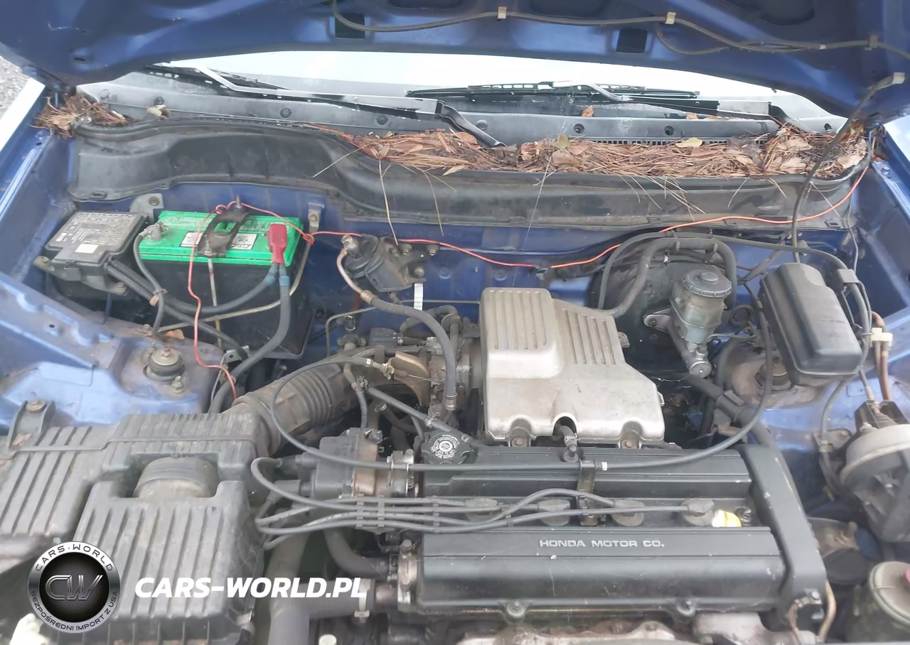2001 Honda Cr-V Lx VIN:JHLRD28421C007940 - 10