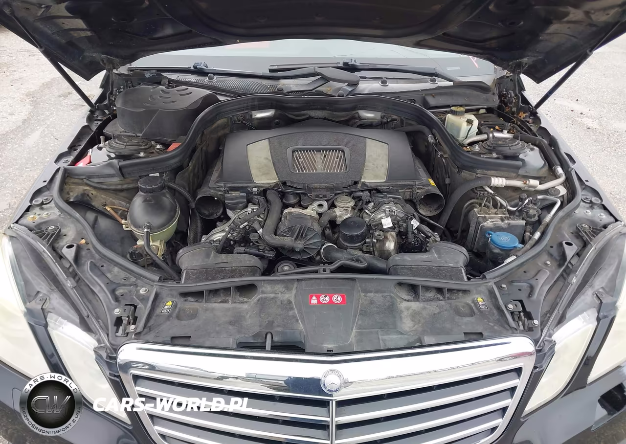 2010 Mercedes-Benz E 350 VIN:WDDHF5GB3AA112525 - 10