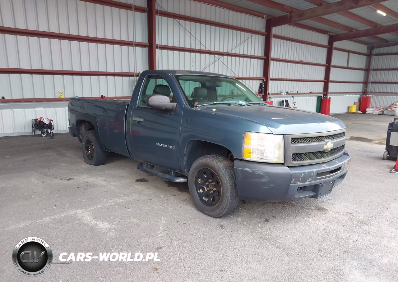 2010 Chevrolet Silverado 1500 Work Truck