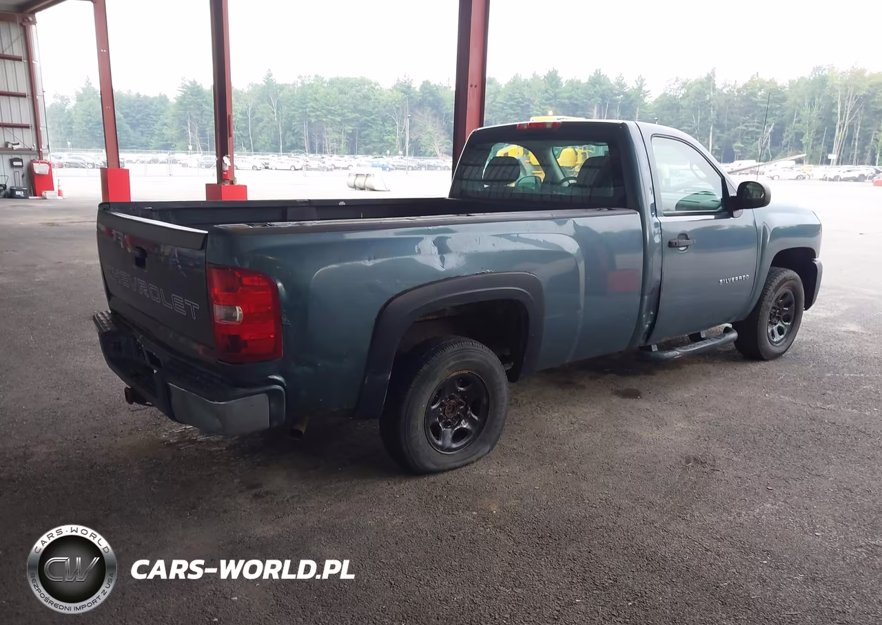 2010 Chevrolet Silverado 1500 Work Truck VIN:1GCPCPEX3AZ205989 - 4