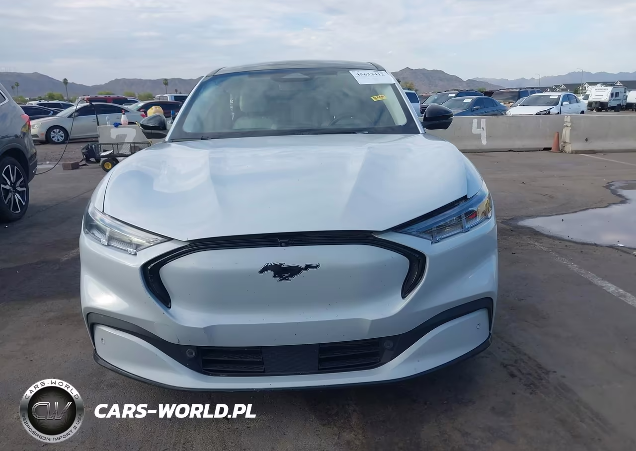 2022 Ford Mustang Mach-E Premium VIN:3FMTK3R79NMA31210 - 13