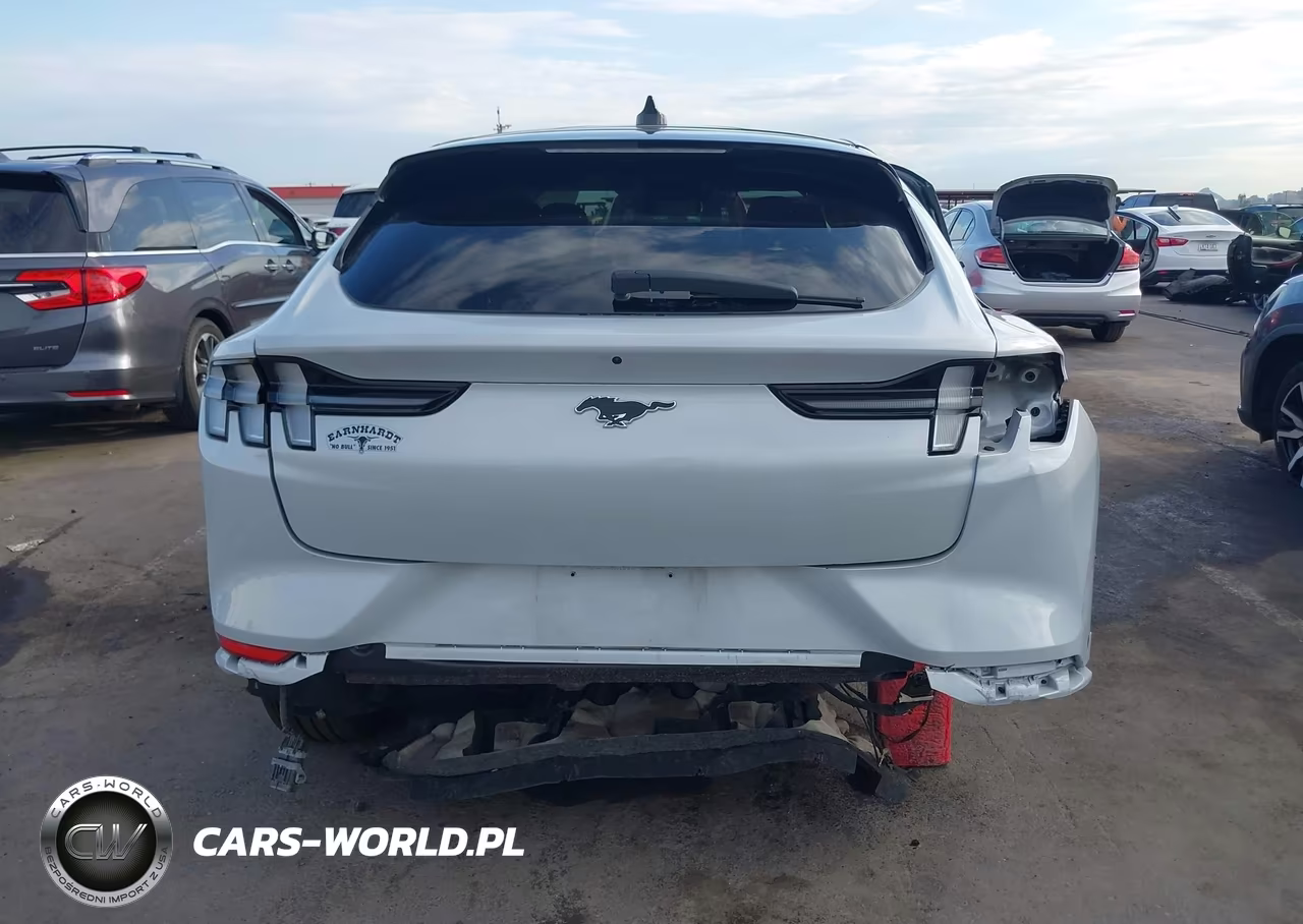 2022 Ford Mustang Mach-E Premium VIN:3FMTK3R79NMA31210 - 17