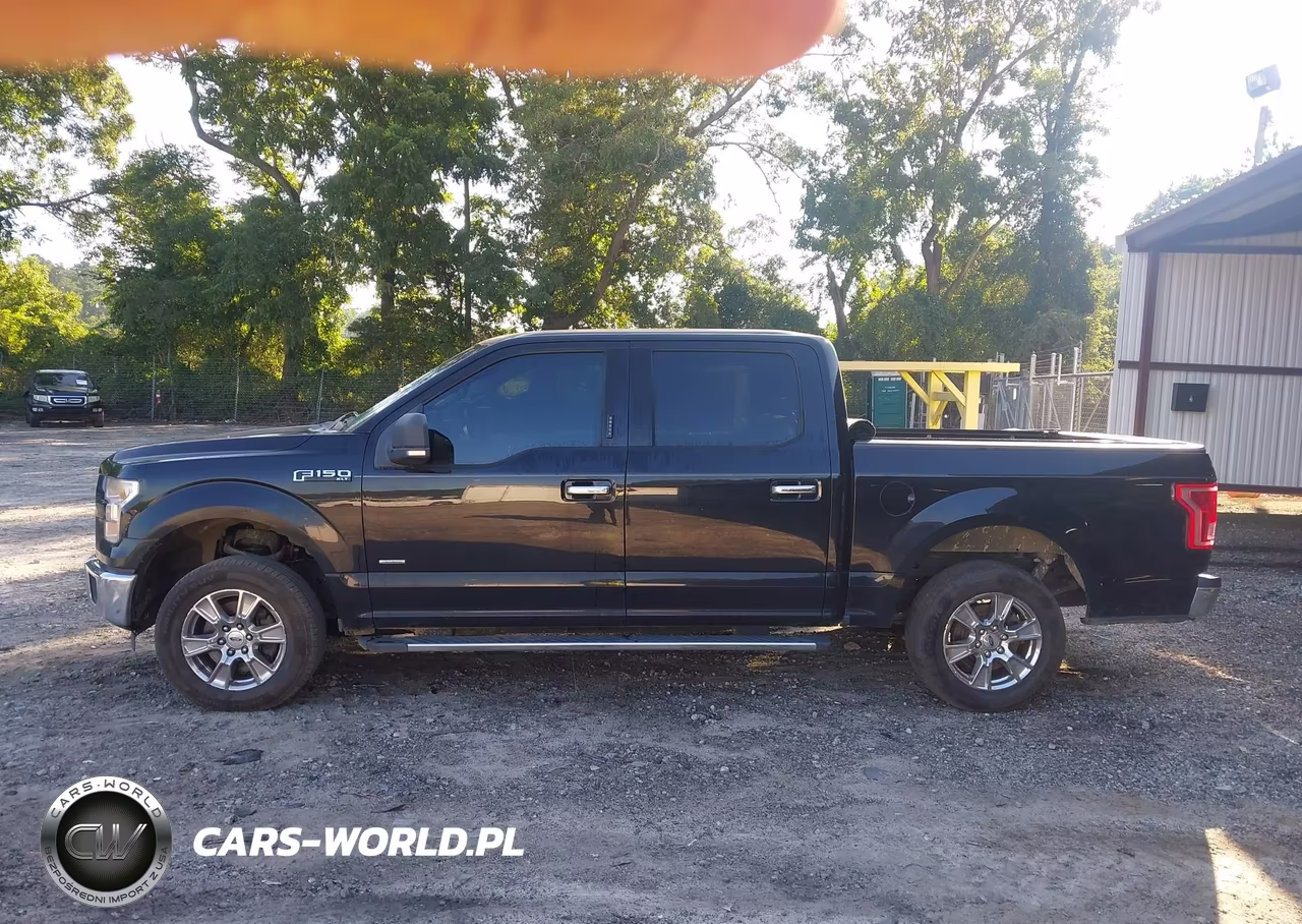 2016 Ford F-150 Xlt VIN:1FTEW1CPXGFB19913 - 14