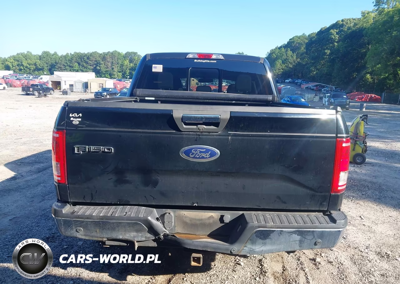2016 Ford F-150 Xlt VIN:1FTEW1CPXGFB19913 - 16