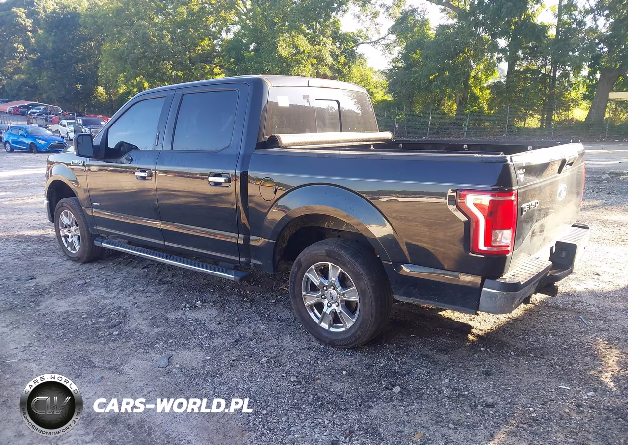 2016 Ford F-150 Xlt VIN:1FTEW1CPXGFB19913 - 3