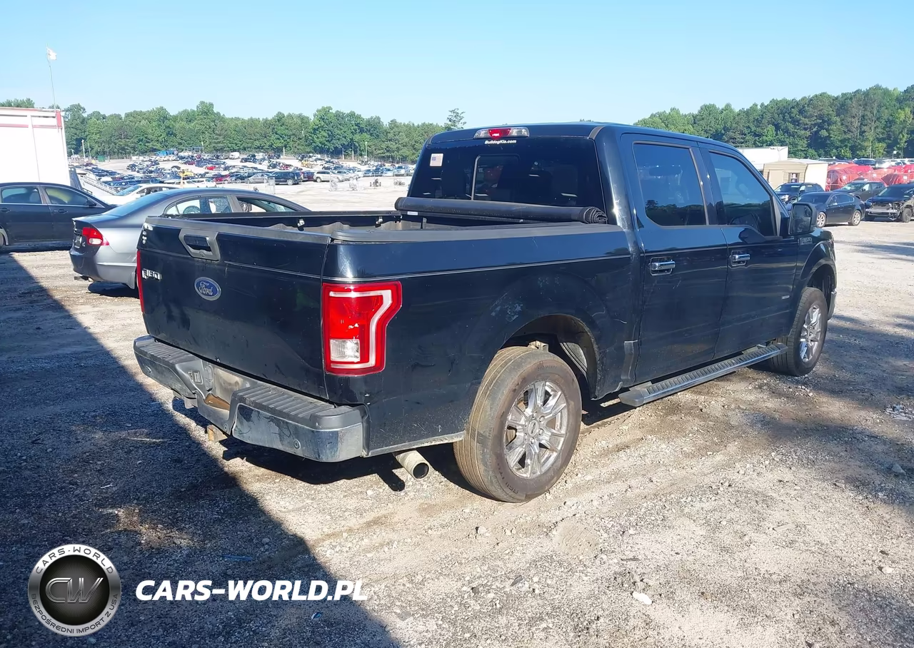 2016 Ford F-150 Xlt VIN:1FTEW1CPXGFB19913 - 4