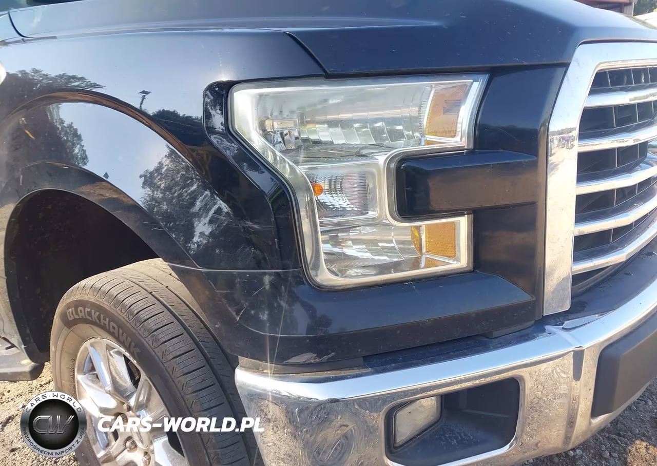 2016 Ford F-150 Xlt VIN:1FTEW1CPXGFB19913 - 6