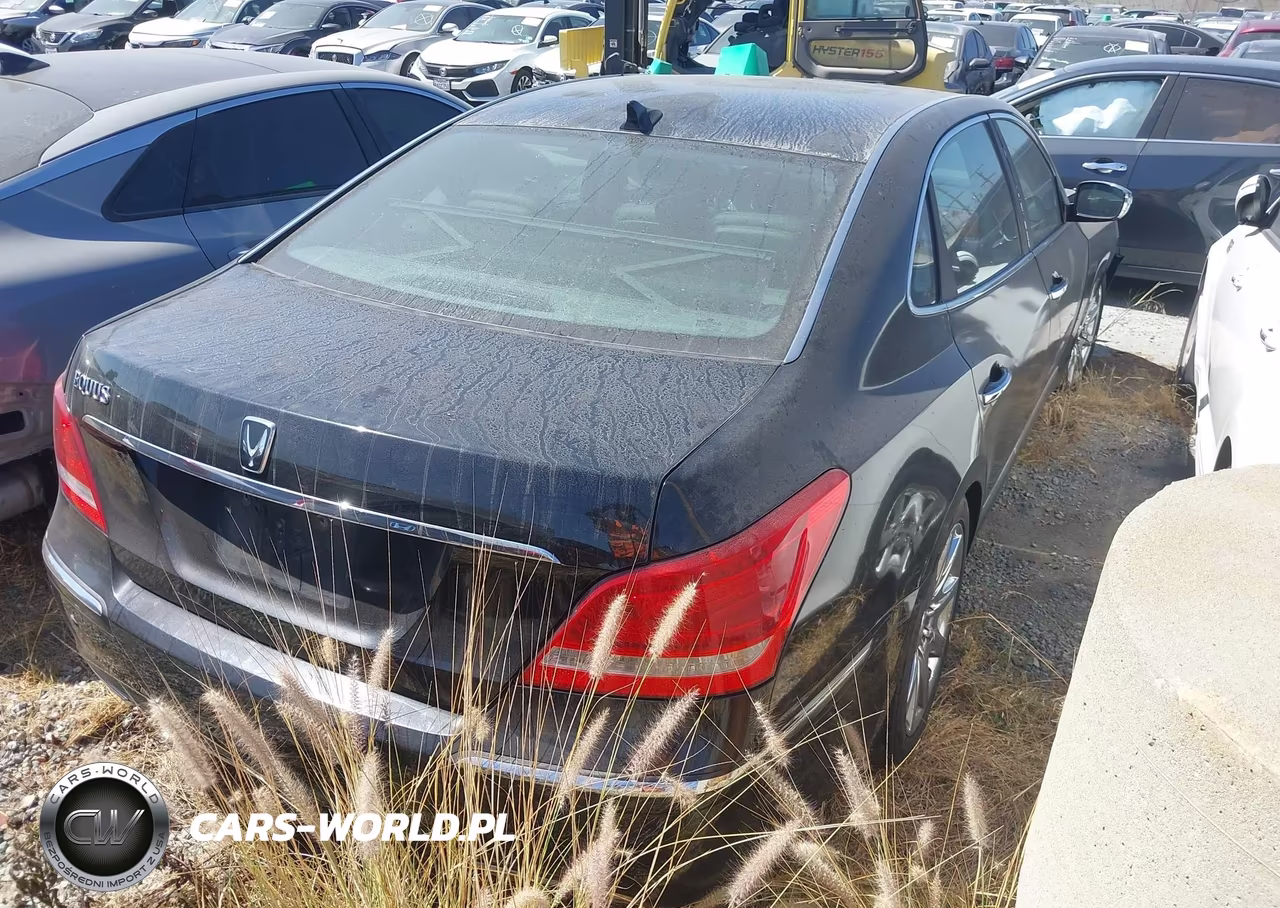 2011 Hyundai Equus Ultimate VIN:KMHGH4JF8BU034289 - 4