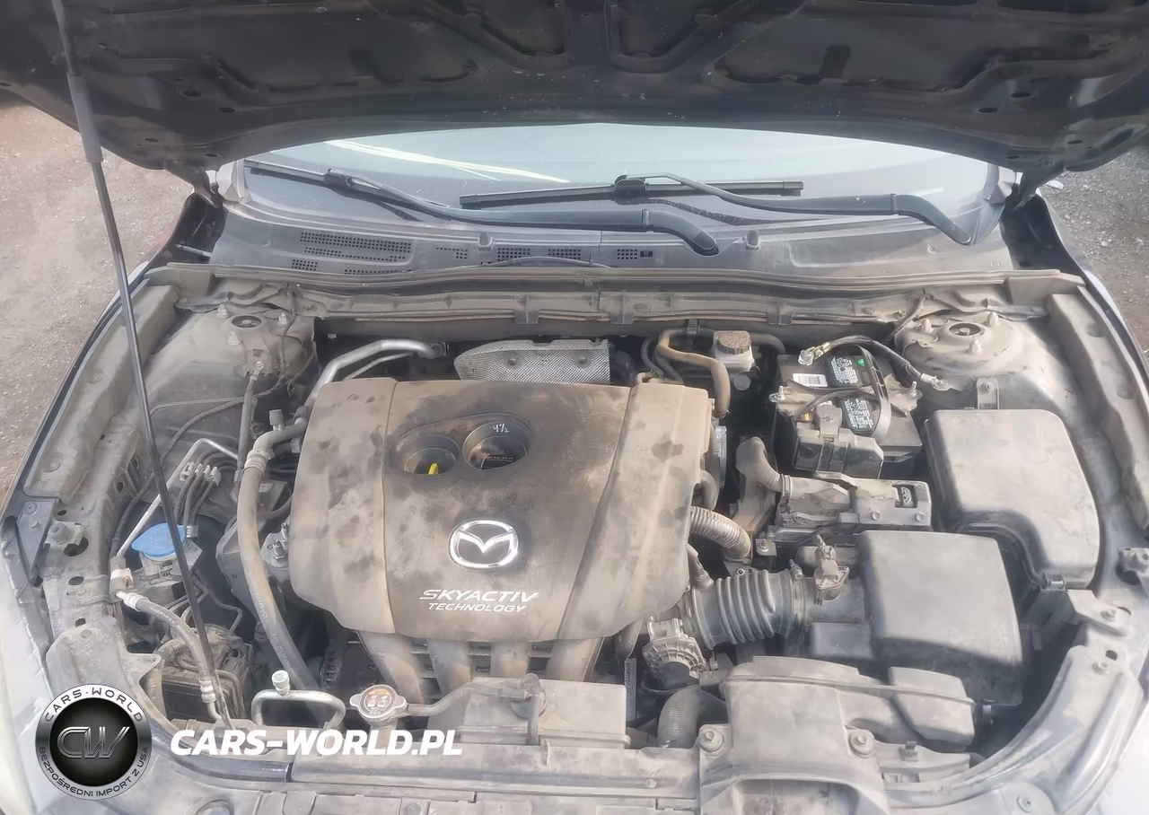 2014 Mazda Mazda3 I Sport VIN:JM1BM1K71E1194245 - 10