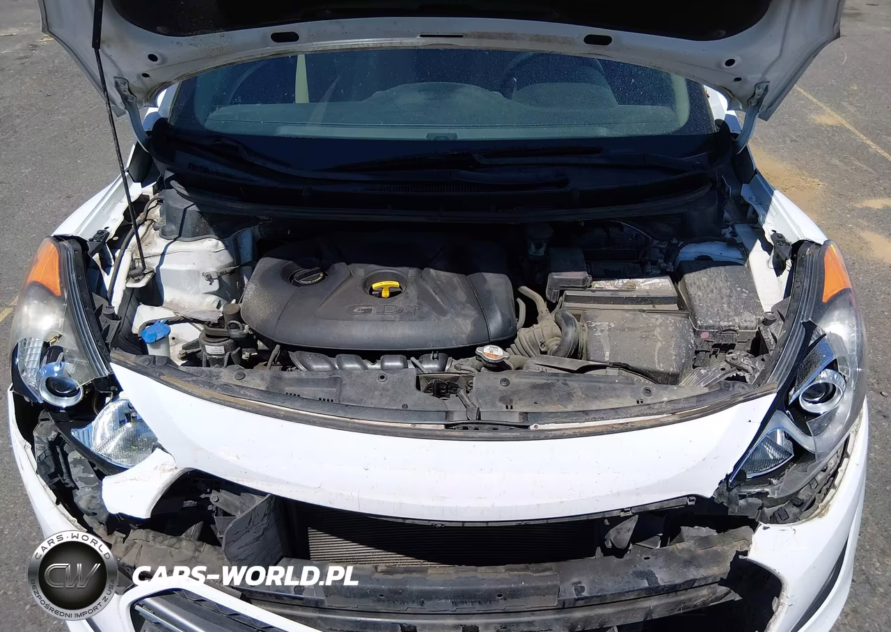 2016 Hyundai Elantra Gt VIN:KMHD35LH6GU284207 - 10