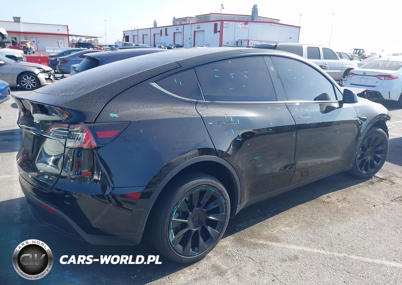 2024 Tesla Model Y Long Range Dual Motor All-Wheel Drive VIN:7SAYGDEE7RA246195 - 4