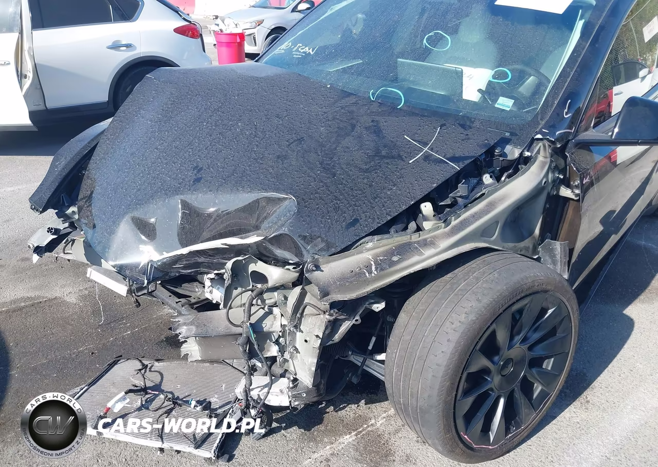 2024 Tesla Model Y Long Range Dual Motor All-Wheel Drive VIN:7SAYGDEE7RA246195 - 6