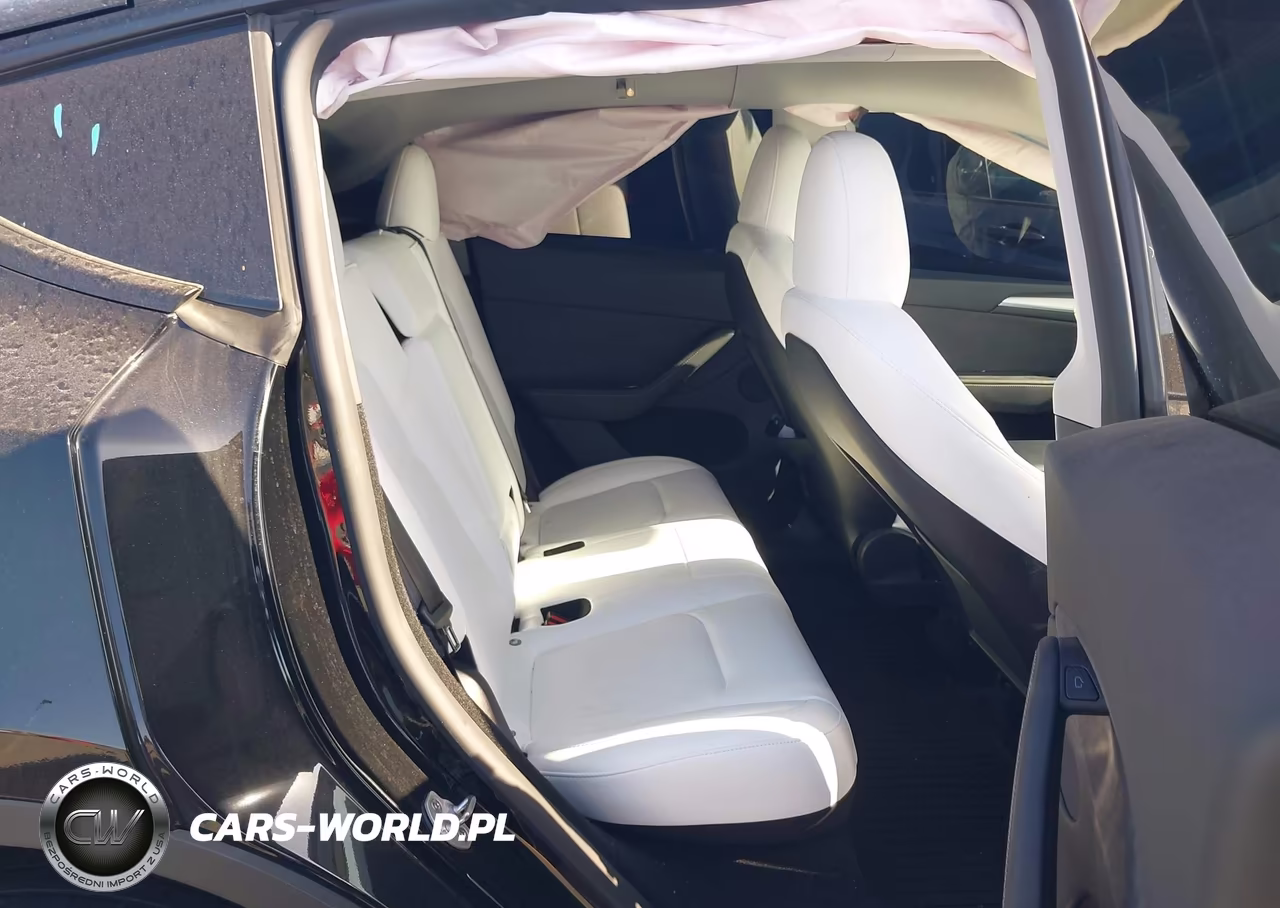 2024 Tesla Model Y Long Range Dual Motor All-Wheel Drive VIN:7SAYGDEE7RA246195 - 8