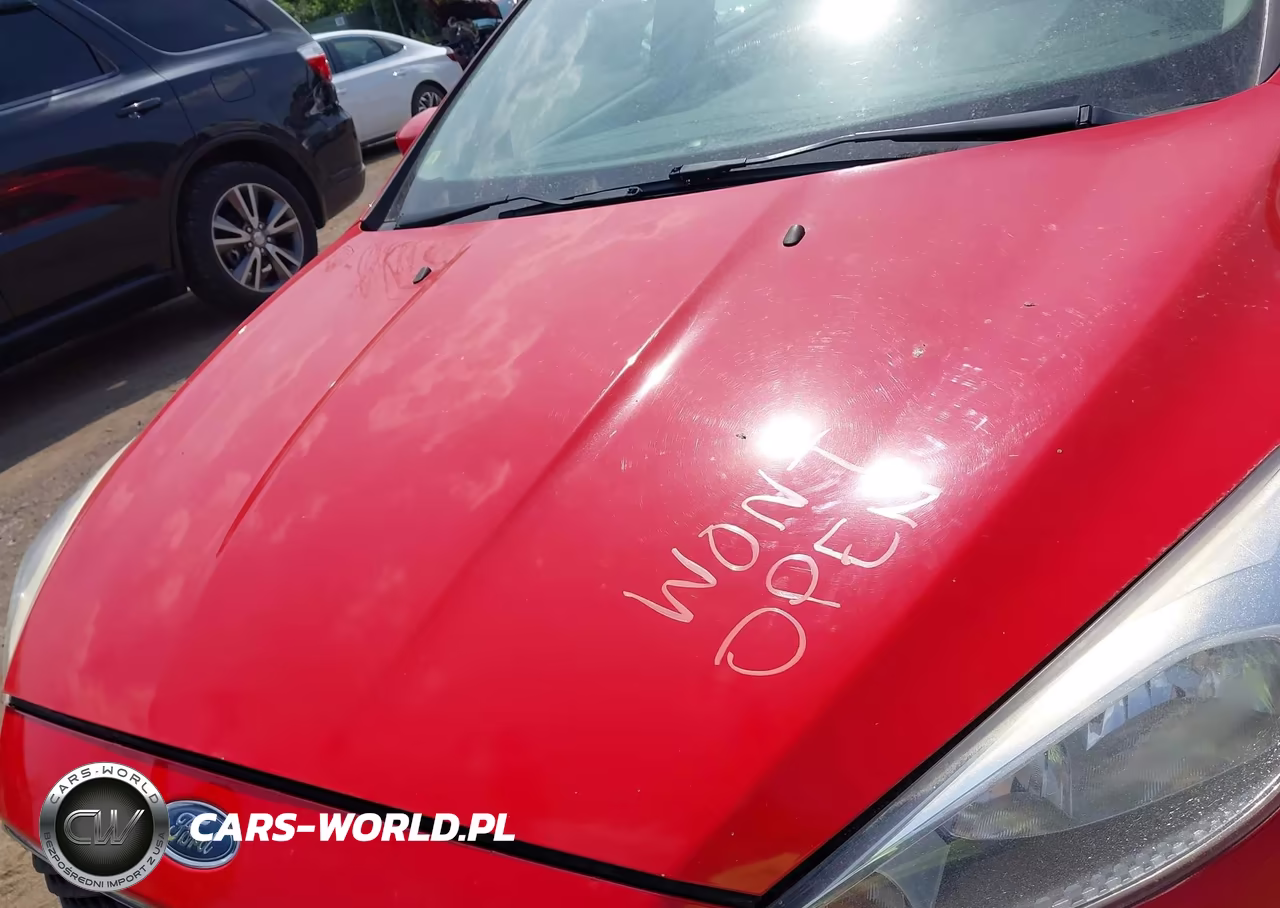 2016 Ford Focus Se VIN:1FADP3K27GL216570 - 10