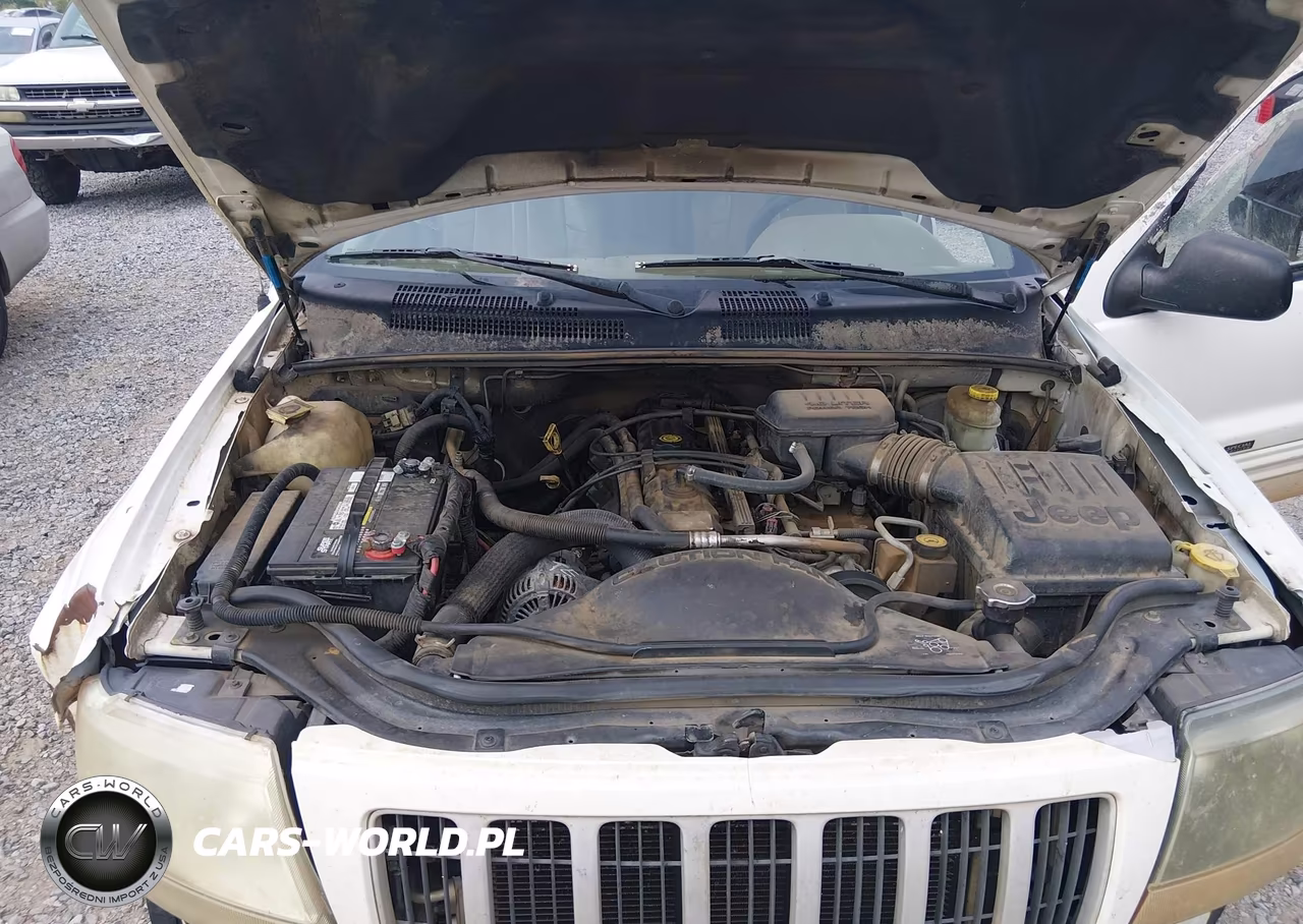 2004 Jeep Grand Cherokee Laredo VIN:1J4GX48S24C255206 - 10