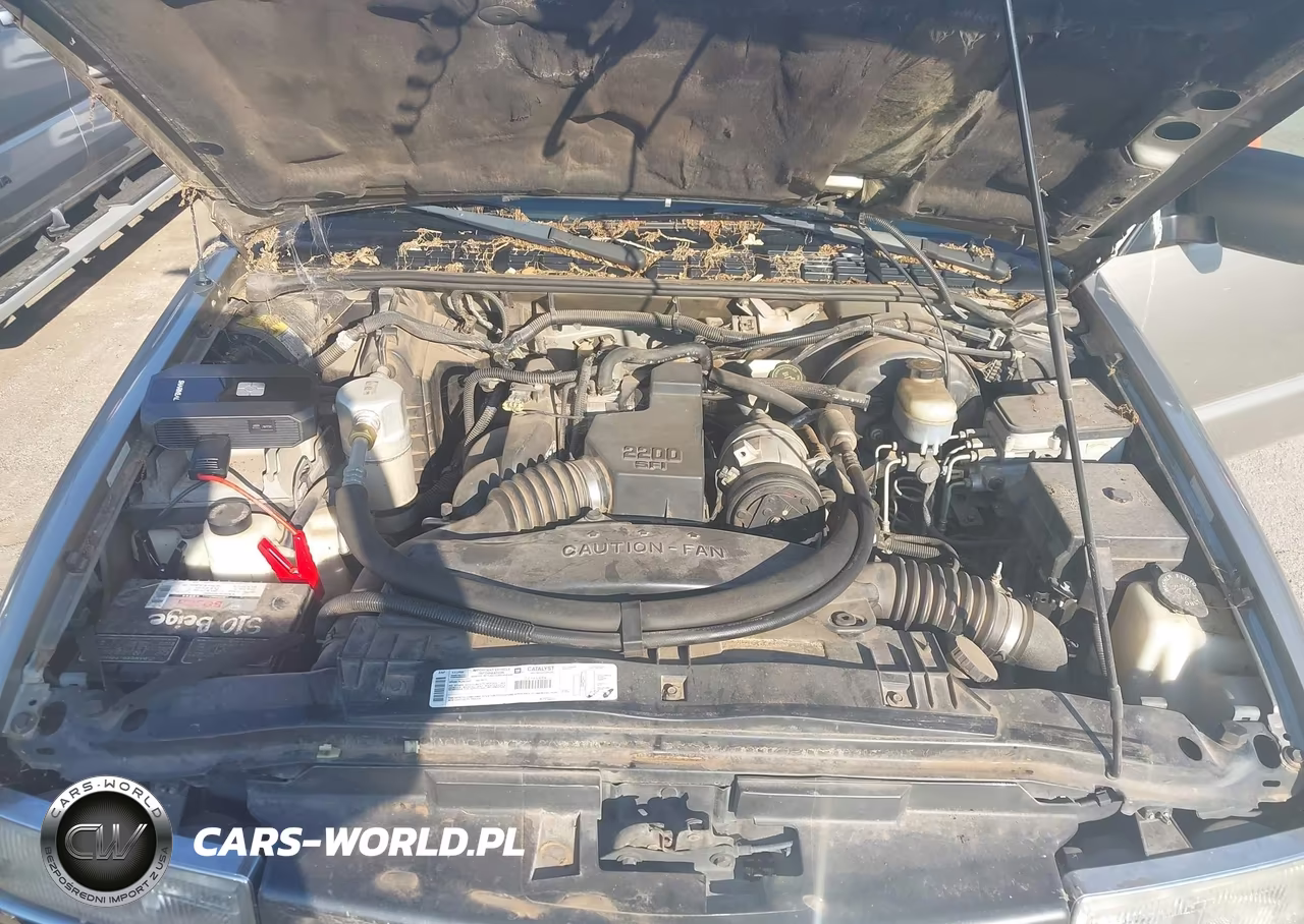 1999 Chevrolet S-10 Ls VIN:1GCCS1946XK219644 - 10