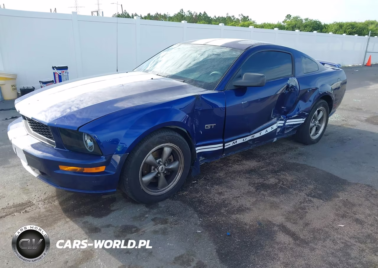 2005 Ford Mustang Gt Deluxe-Gt Premium VIN:1ZVFT82H655209317 - 2