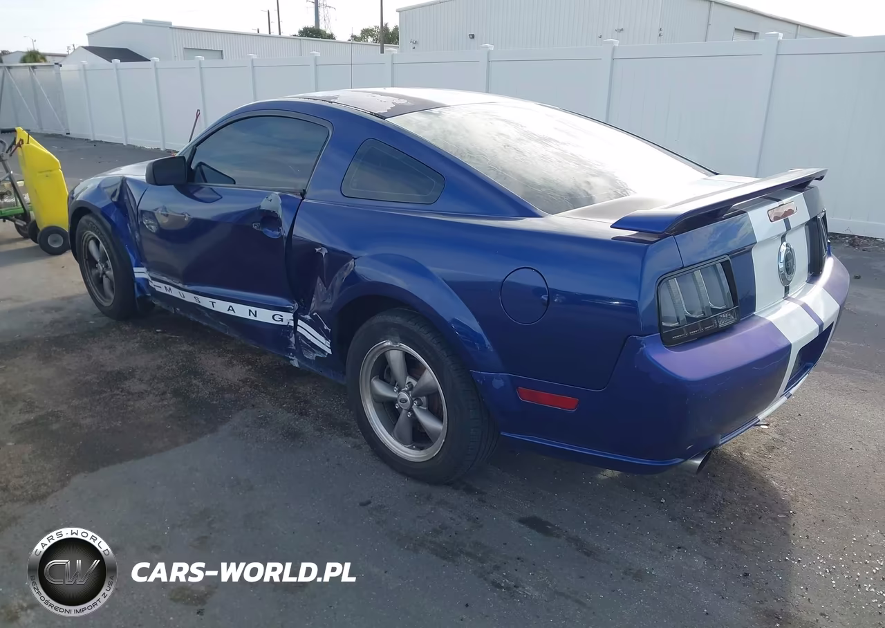 2005 Ford Mustang Gt Deluxe-Gt Premium VIN:1ZVFT82H655209317 - 3