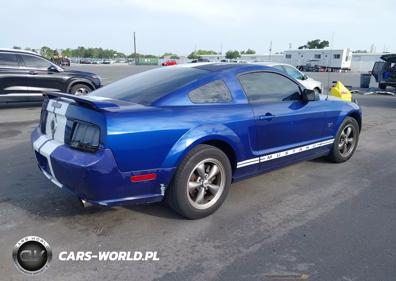 2005 Ford Mustang Gt Deluxe-Gt Premium VIN:1ZVFT82H655209317 - 4