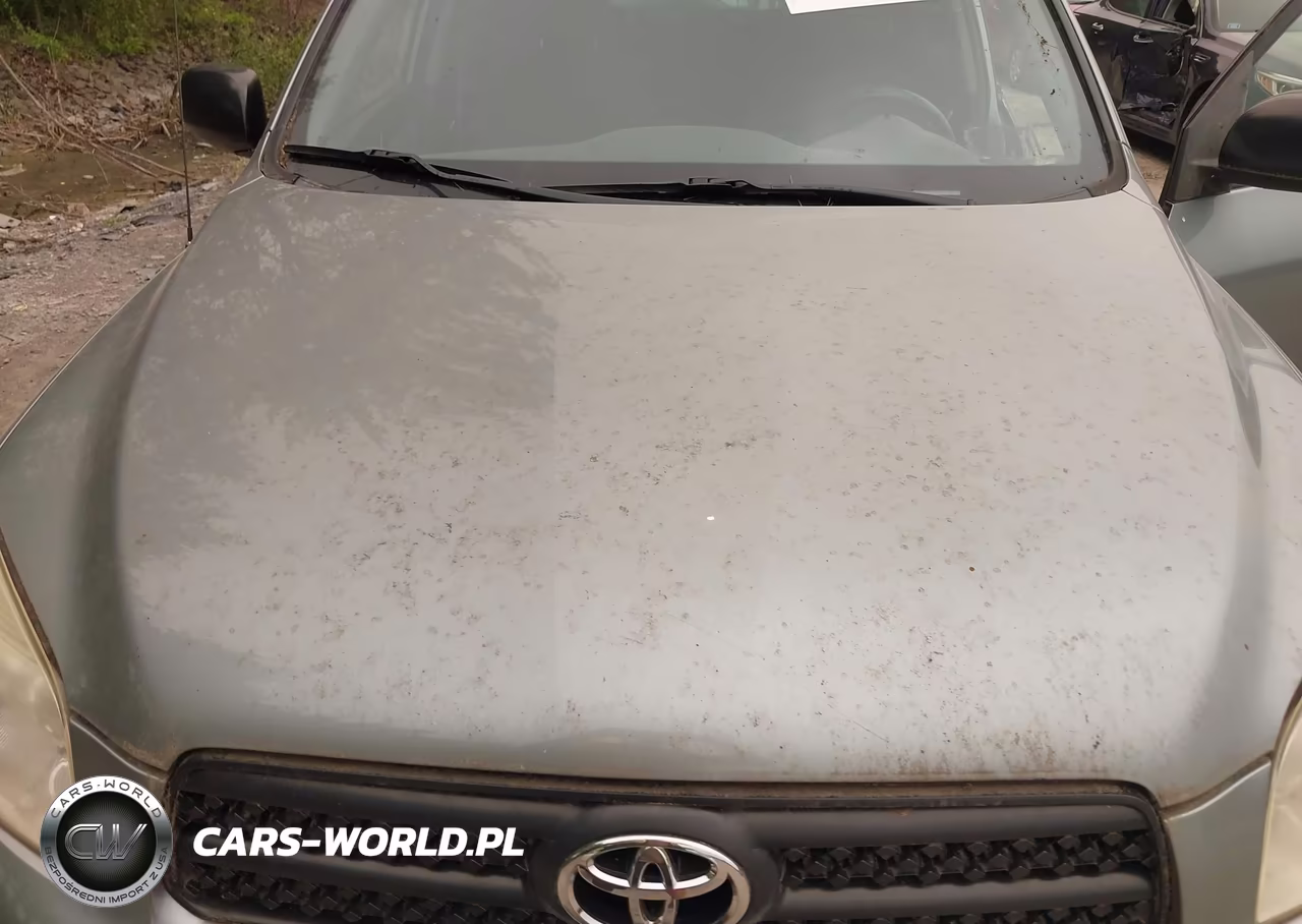 2007 Toyota Rav4 VIN:JTMBD33VX76041815 - 6