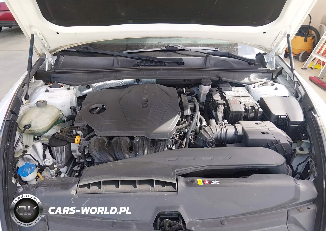 2020 Hyundai Sonata Sel VIN:5NPEL4JA6LH050744 - 10