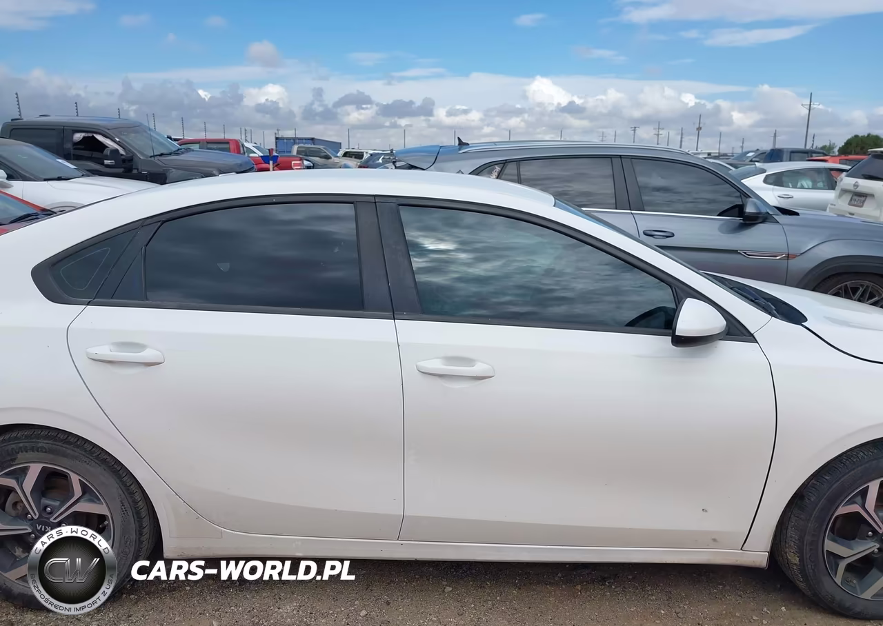 2019 Kia Forte Lxs VIN:3KPF24AD6KE133885 - 14
