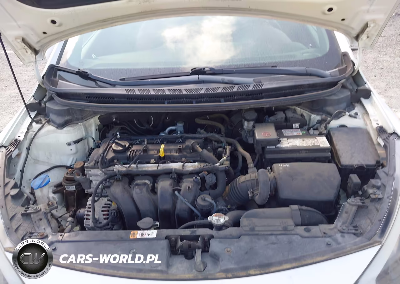 2014 Kia Forte Lx VIN:KNAFX4A63E5219199 - 10