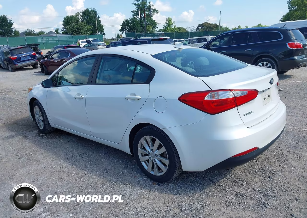 2014 Kia Forte Lx VIN:KNAFX4A63E5219199 - 3