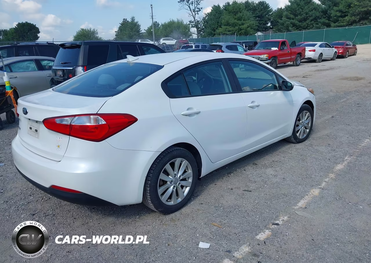 2014 Kia Forte Lx VIN:KNAFX4A63E5219199 - 4