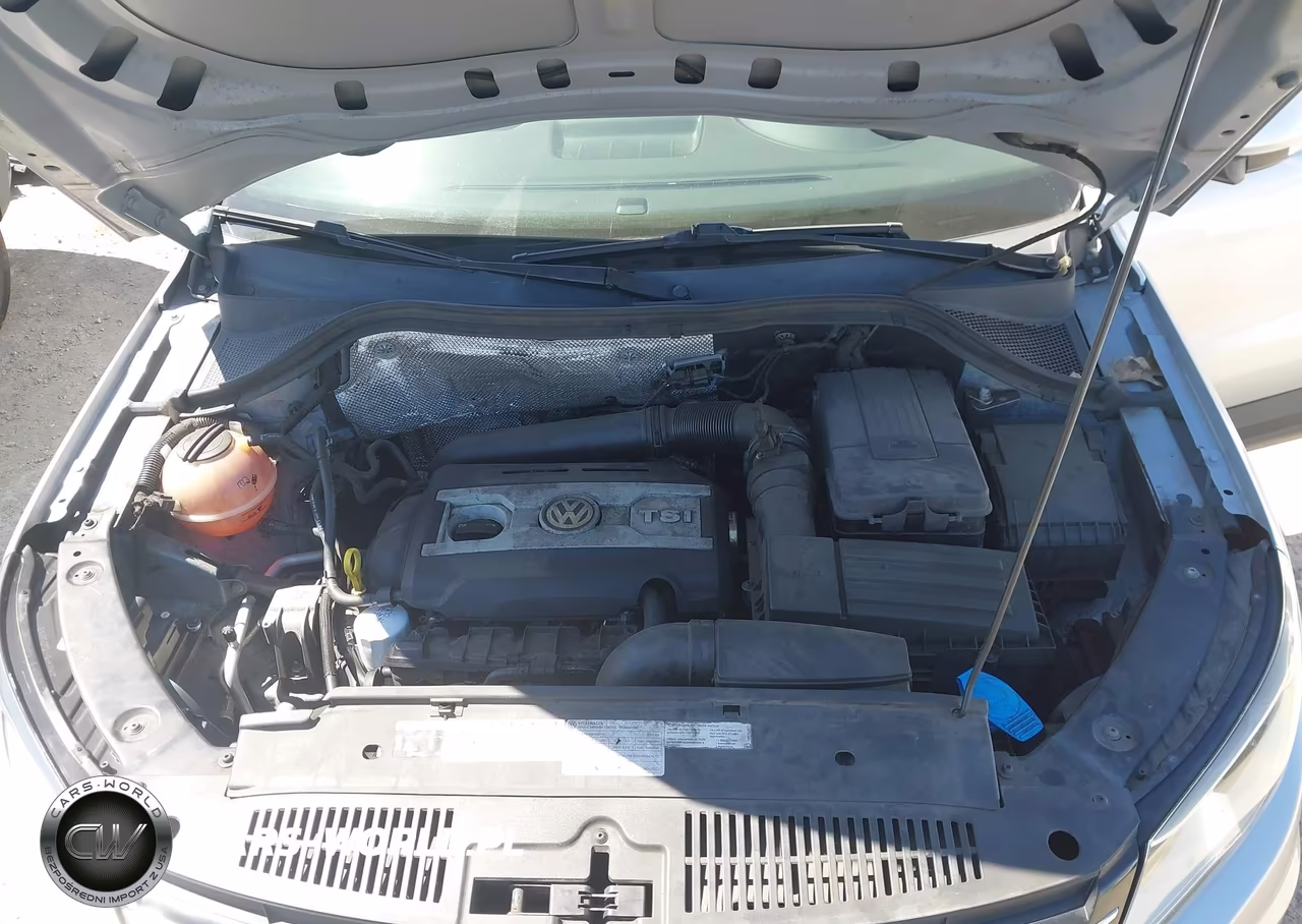 2014 Volkswagen Tiguan S VIN:WVGAV3AX6EW534865 - 10