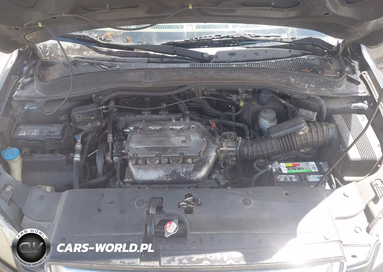 2006 Honda Pilot Lx VIN:5FNYF28156B046525 - 10