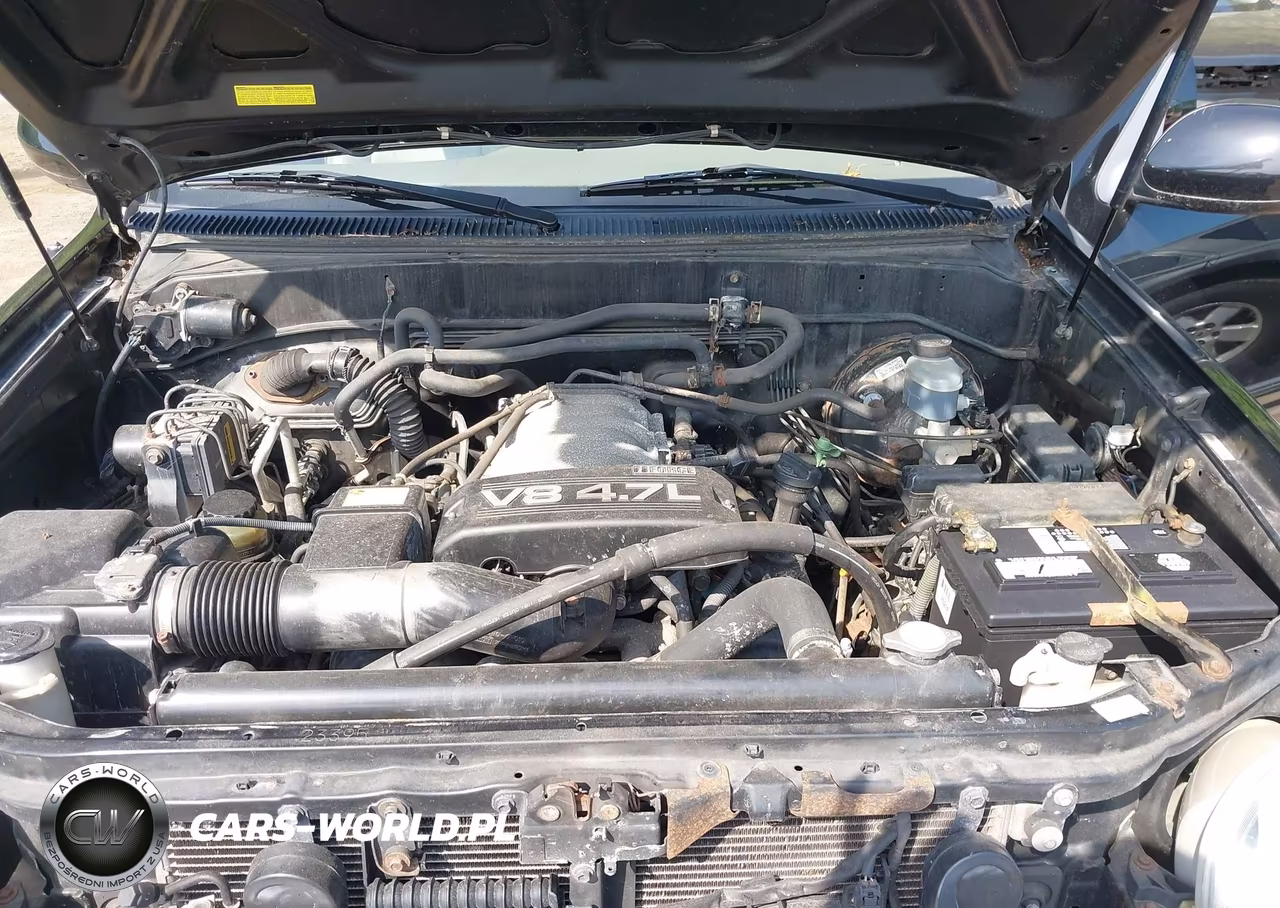 2004 Toyota Sequoia Sr5 V8 VIN:5TDBT44A84S214103 - 10