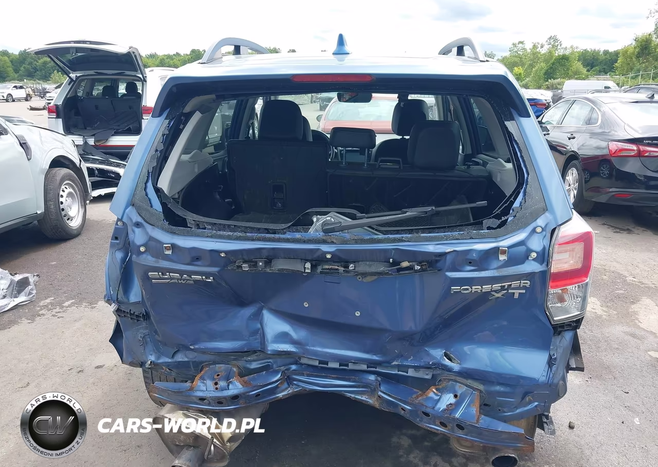2017 Subaru Forester 2.0Xt Premium VIN:JF2SJGEC6HH402332 - 16