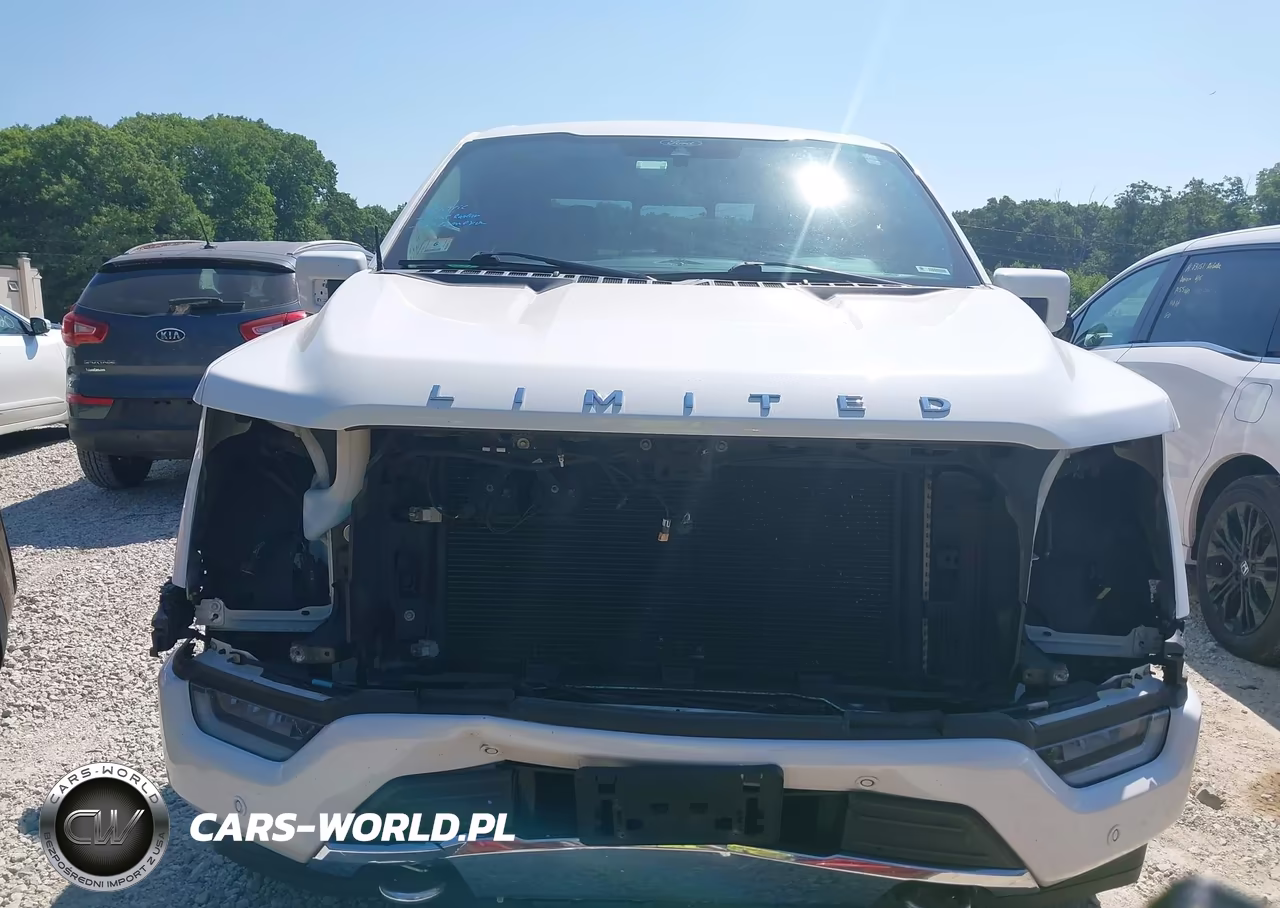 2021 Ford F-150 Limited VIN:1FTFW1E8XMFA55510 - 13