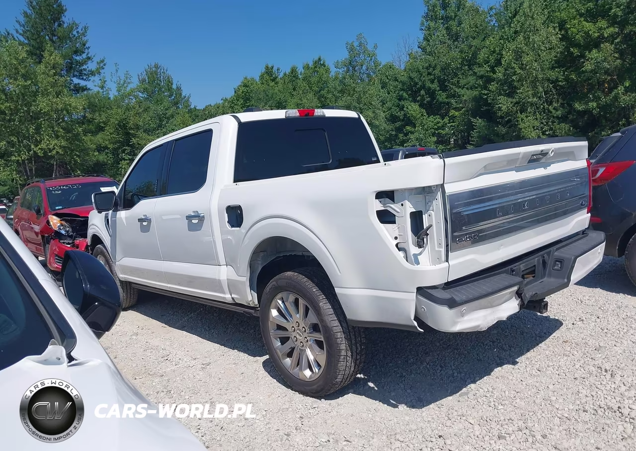2021 Ford F-150 Limited VIN:1FTFW1E8XMFA55510 - 15