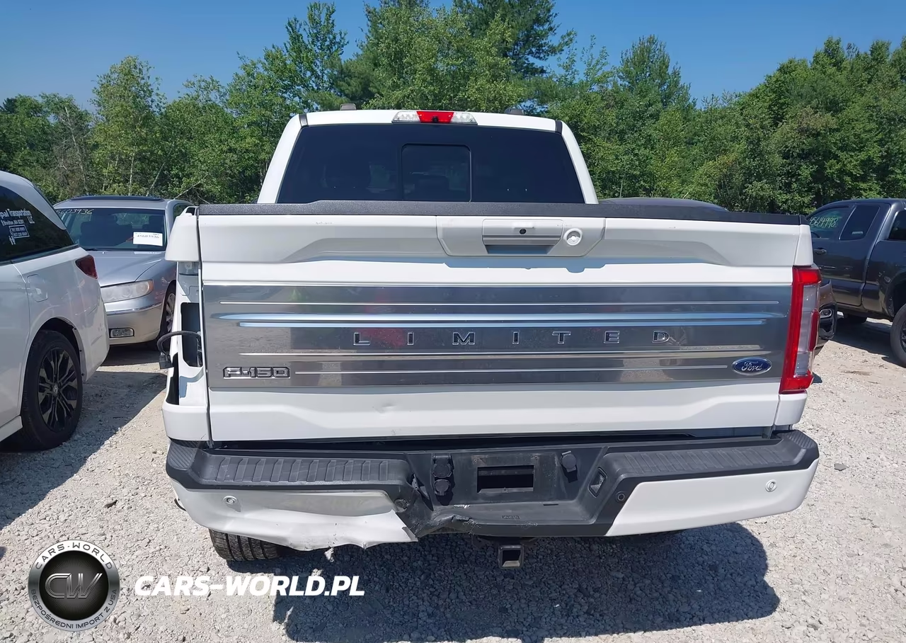 2021 Ford F-150 Limited VIN:1FTFW1E8XMFA55510 - 17