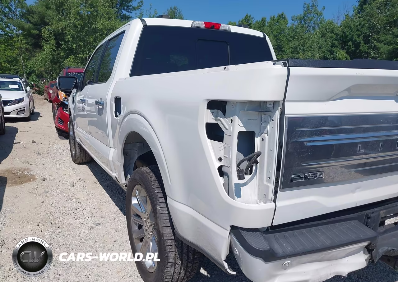 2021 Ford F-150 Limited VIN:1FTFW1E8XMFA55510 - 19