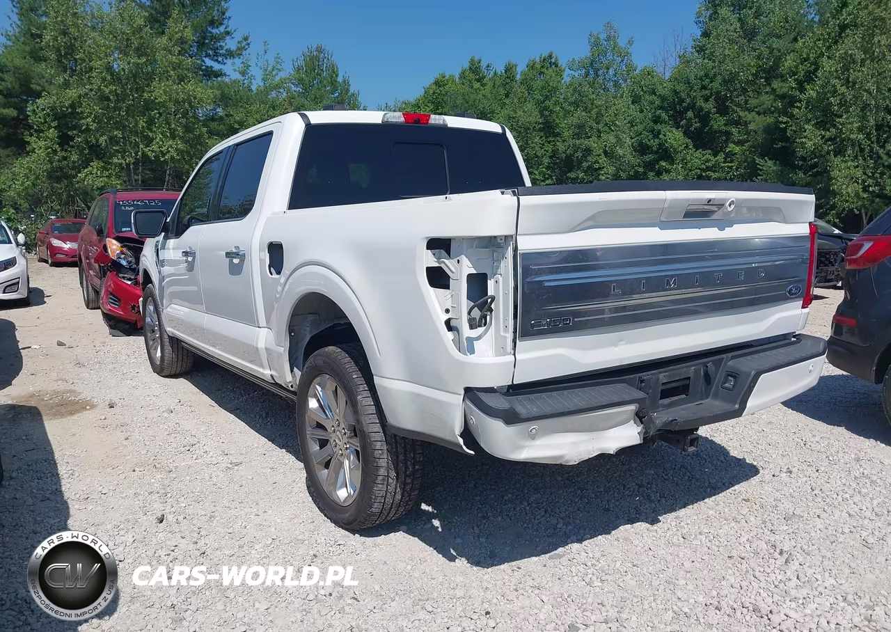 2021 Ford F-150 Limited VIN:1FTFW1E8XMFA55510 - 3