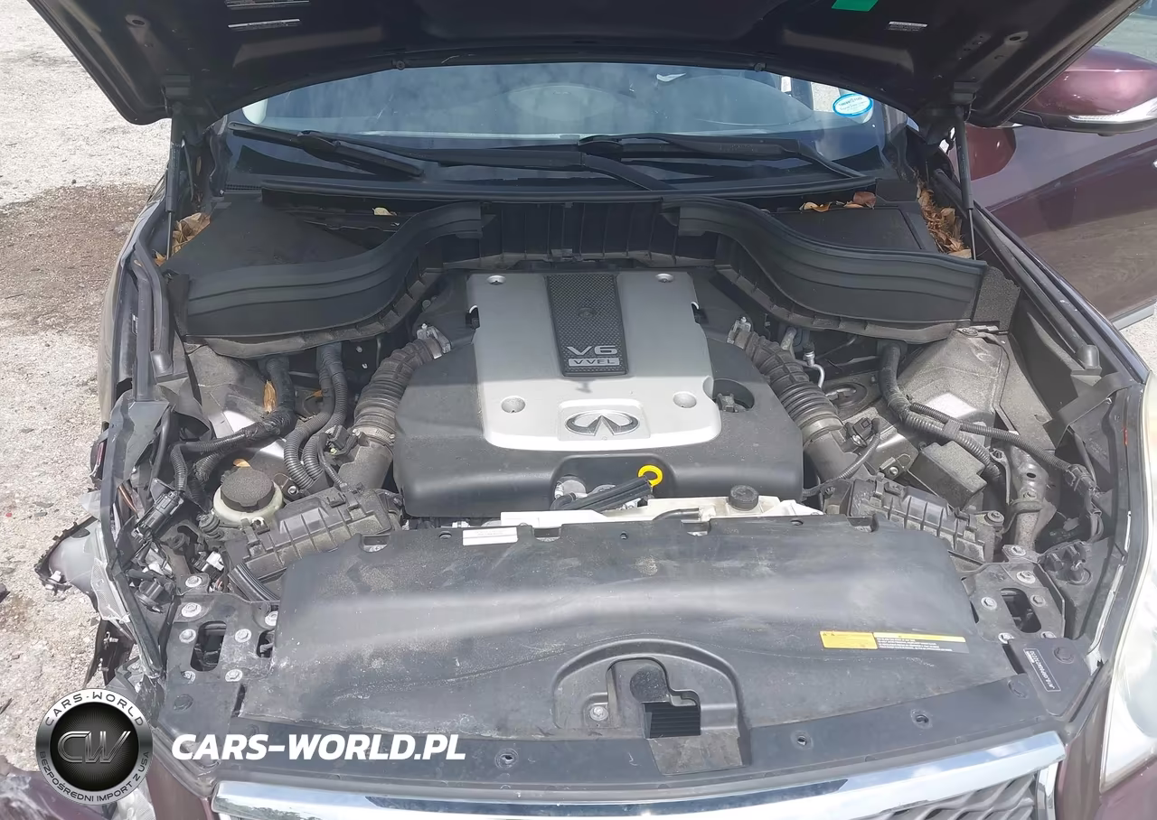 2016 Infiniti Qx50 VIN:JN1BJ0RP8GM232230 - 10