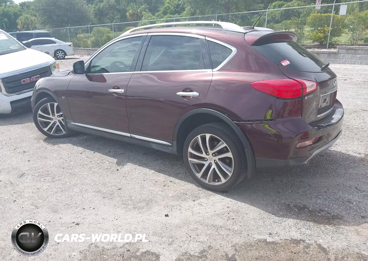2016 Infiniti Qx50 VIN:JN1BJ0RP8GM232230 - 3