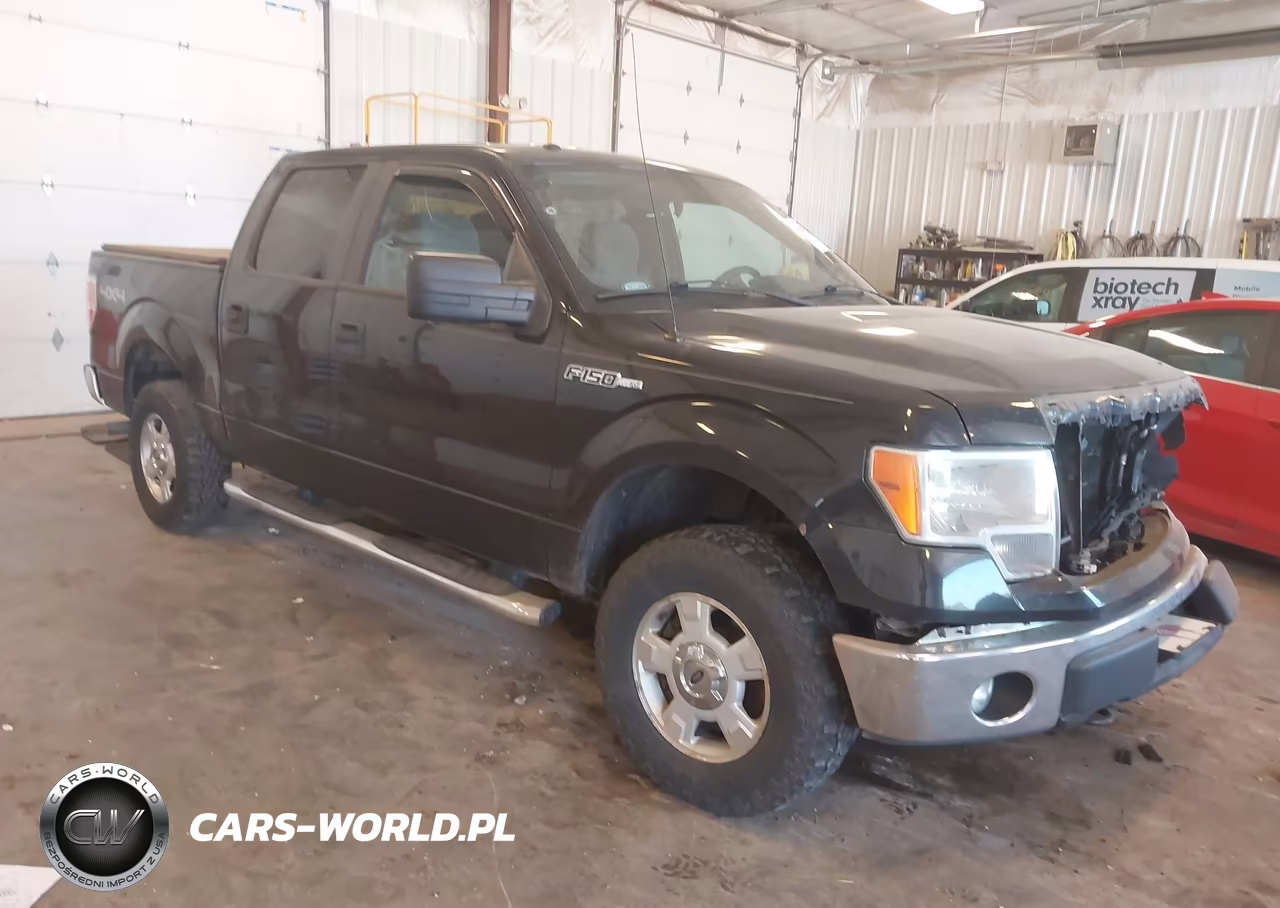 2014 Ford F-150 Xlt – zdjęcie 1 z 16