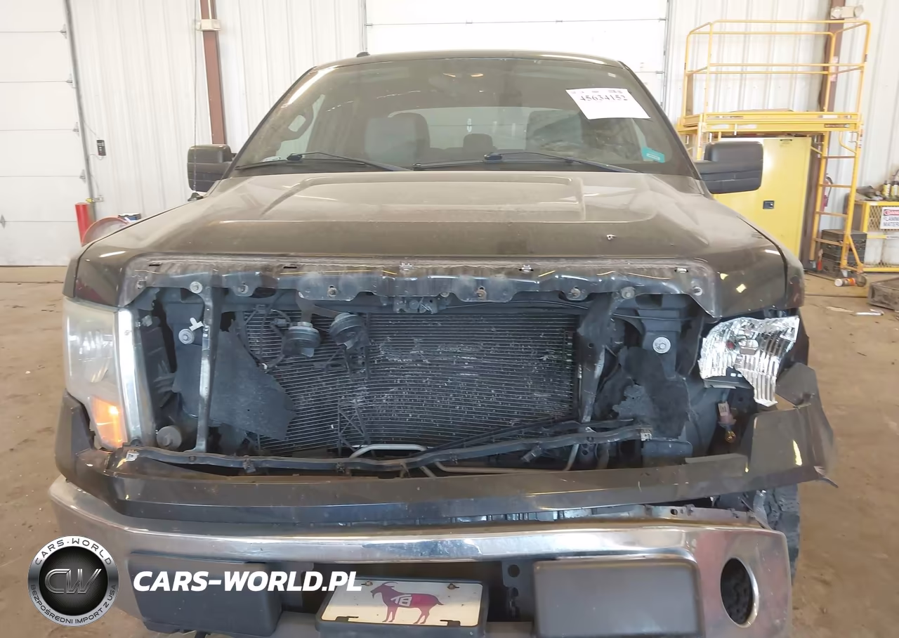 2014 Ford F-150 Xlt VIN:1FTFW1EFXEKF97584 - 12