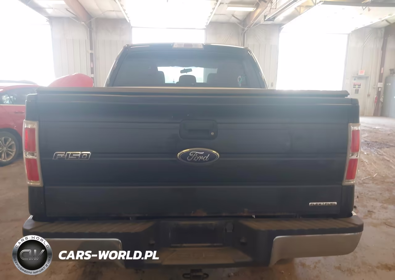 2014 Ford F-150 Xlt VIN:1FTFW1EFXEKF97584 - 16