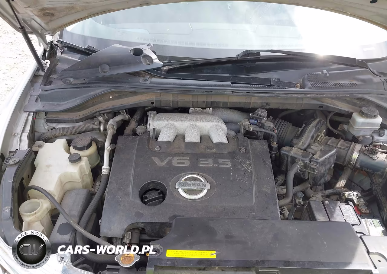 2006 Nissan Murano S VIN:JN8AZ08W76W519253 - 10