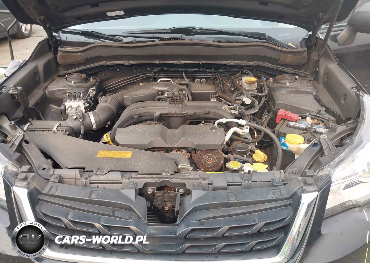 2017 Subaru Forester 2.5I VIN:JF2SJABC5HH408754 - 10