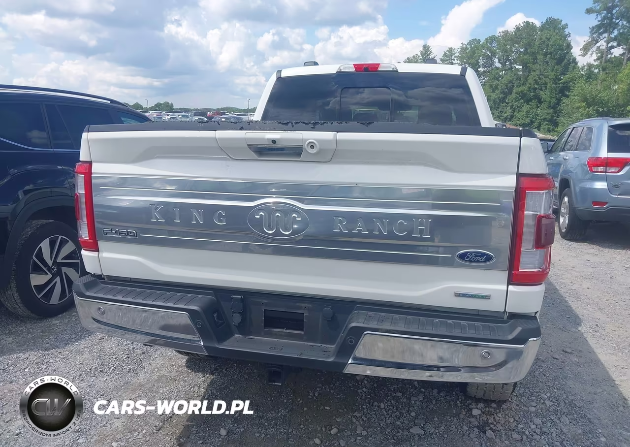 2022 Ford F-150 King Ranch VIN:1FTFW1E83NFA59206 - 16