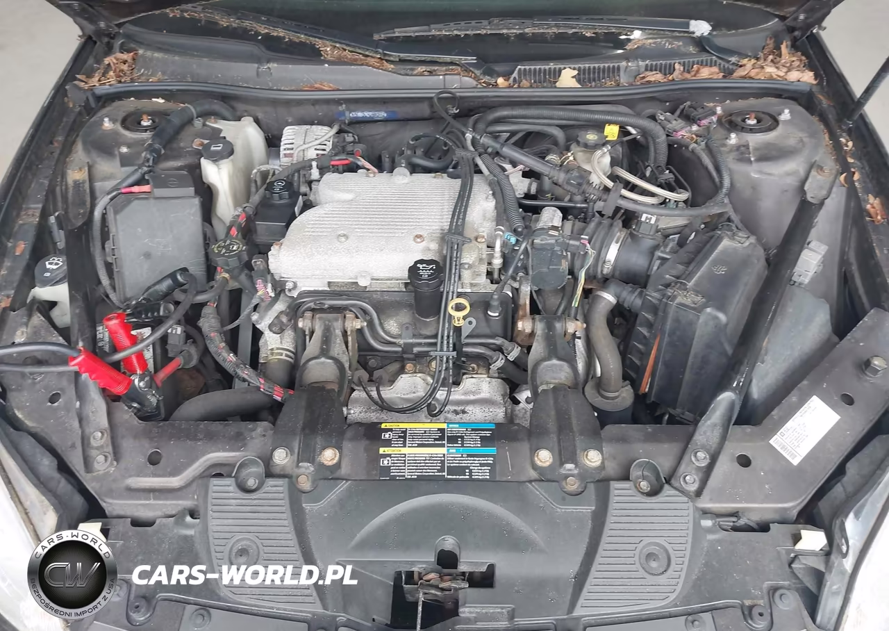 2009 Chevrolet Impala Ls VIN:2G1WB57N091174339 - 10