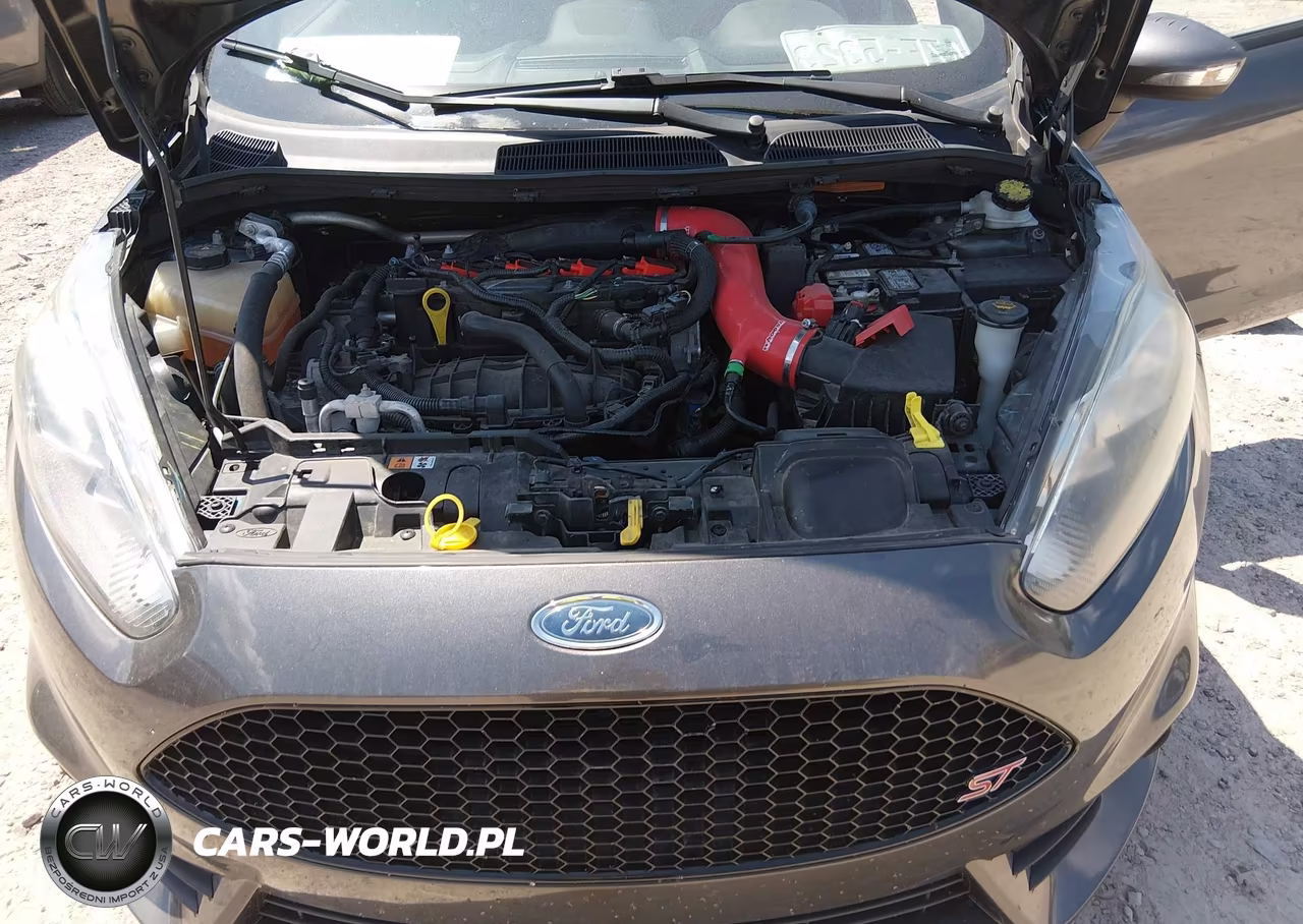 2017 Ford Fiesta St VIN:3FADP4GX2HM134871 - 10