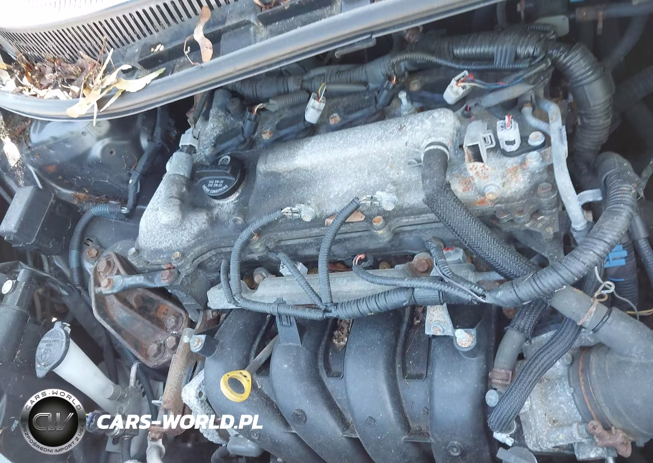 2009 Scion Xd VIN:JTKKU10479J039089 - 10