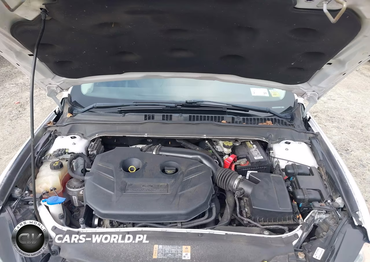 2014 Ford Fusion Titanium VIN:3FA6P0D9XER326450 - 10